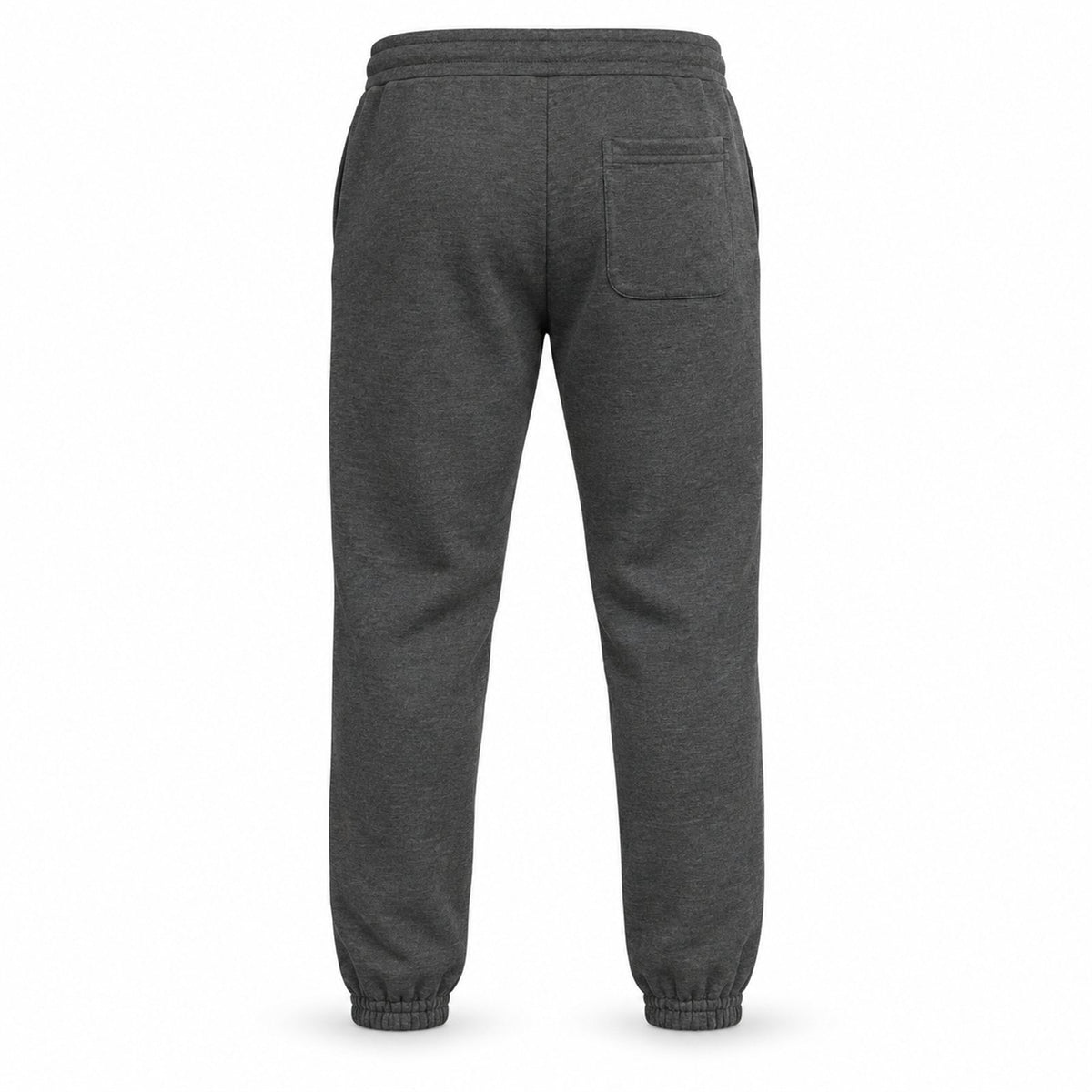 ACTYVE Carbon Gray Joggers - back view