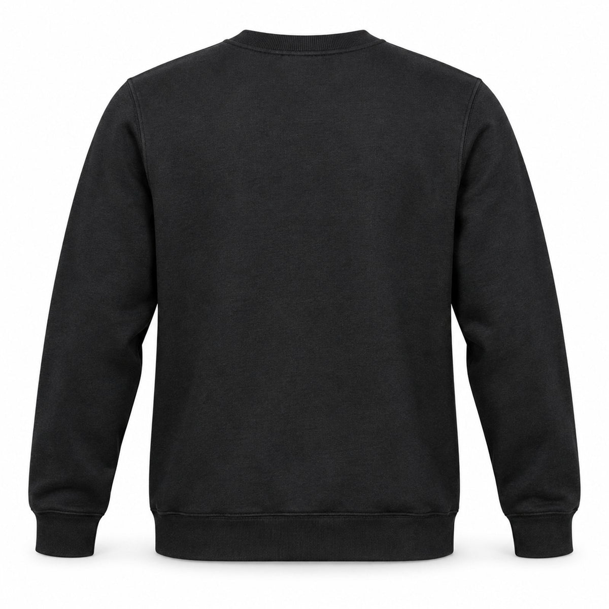 ACTYVE Black Sweatshirt - back view
